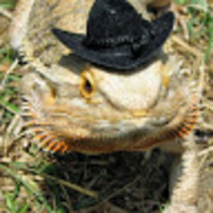 Meet your Posher, Tim